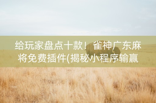 给玩家盘点十款！雀神广东麻将免费插件(揭秘小程序输赢技巧)