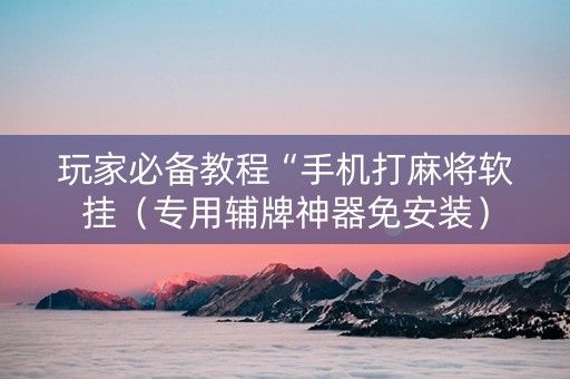 玩家必备教程“手机打麻将软挂（专用辅牌神器免安装）