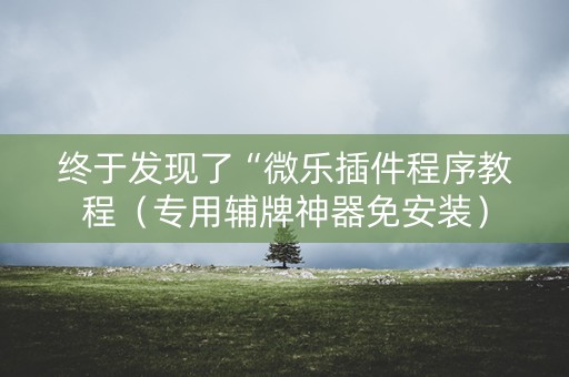 终于发现了“微乐插件程序教程（专用辅牌神器免安装）