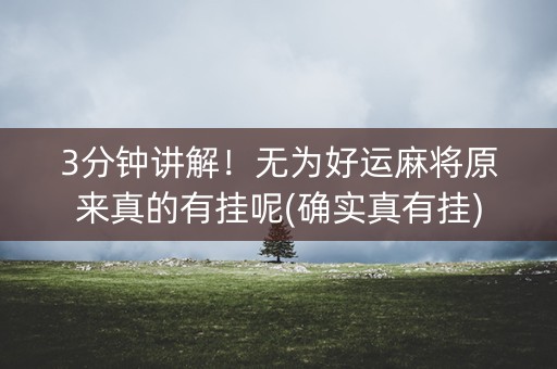 3分钟讲解！无为好运麻将原来真的有挂呢(确实真有挂)