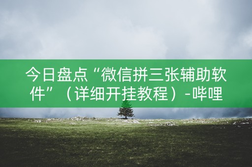 今日盘点“微信拼三张辅助软件”（详细开挂教程）-哔哩哔哩