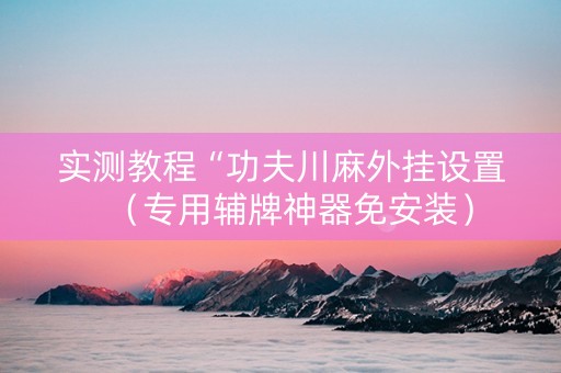 实测教程“功夫川麻外挂设置（专用辅牌神器免安装）