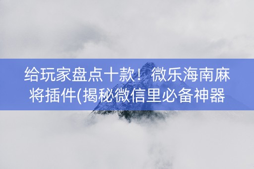 给玩家盘点十款！微乐海南麻将插件(揭秘微信里必备神器)