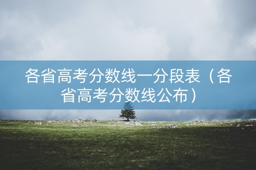 各省高考分数线一分段表（各省高考分数线公布）