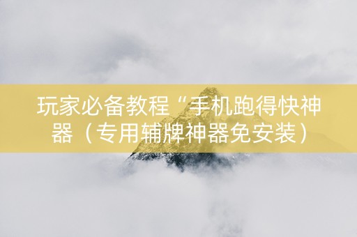 玩家必备教程“手机跑得快神器（专用辅牌神器免安装）