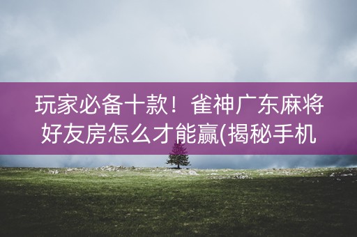 玩家必备十款！雀神广东麻将好友房怎么才能赢(揭秘手机上提高胜率)