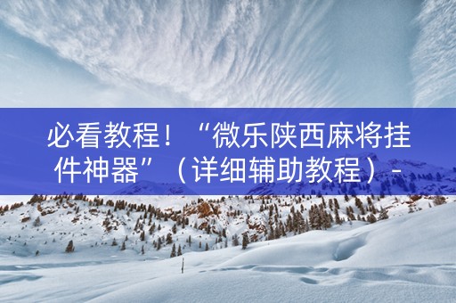 必看教程！“微乐陕西麻将挂件神器”（详细辅助教程）-哔哩哔哩