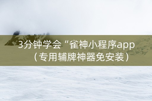 3分钟学会“雀神小程序app（专用辅牌神器免安装）
