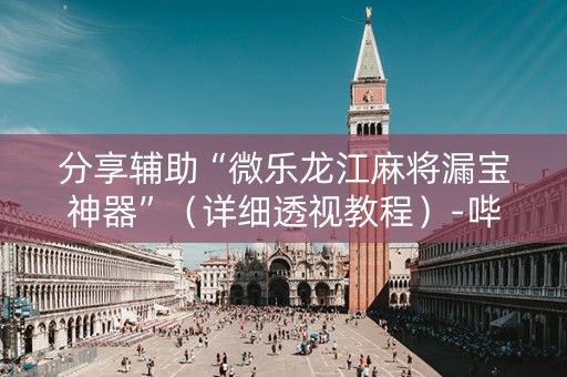 分享辅助“微乐龙江麻将漏宝神器”（详细透视教程）-哔哩哔哩