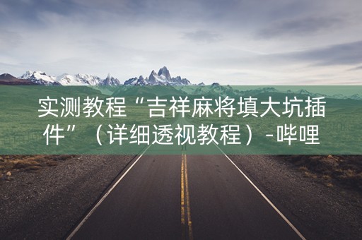 实测教程“吉祥麻将填大坑插件”（详细透视教程）-哔哩哔哩