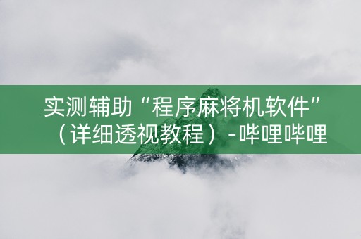 实测辅助“程序麻将机软件”（详细透视教程）-哔哩哔哩