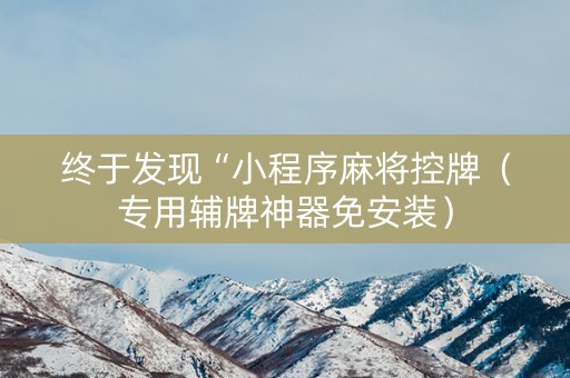 终于发现“小程序麻将控牌（专用辅牌神器免安装）
