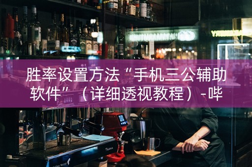胜率设置方法“手机三公辅助软件”（详细透视教程）-哔哩哔哩