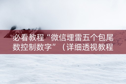 必看教程“微信埋雷五个包尾数控制数字”（详细透视教程）-哔哩哔哩