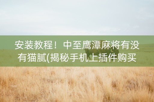 安装教程！中至鹰潭麻将有没有猫腻(揭秘手机上插件购买)
