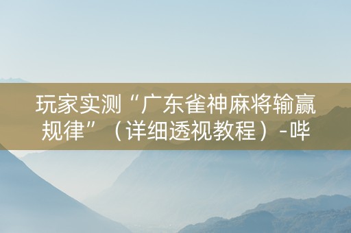 玩家实测“广东雀神麻将输赢规律”（详细透视教程）-哔哩哔哩