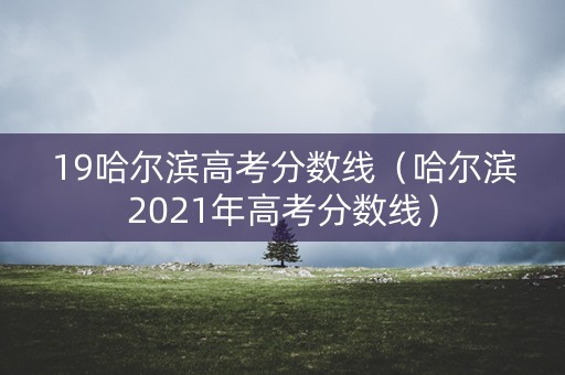 19哈尔滨高考分数线（哈尔滨2021年高考分数线）