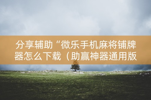 分享辅助“微乐手机麻将铺牌器怎么下载（助赢神器通用版）