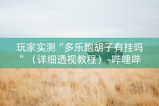 玩家实测“多乐跑胡子有挂吗”（详细透视教程）-哔哩哔哩