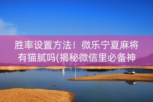 胜率设置方法！微乐宁夏麻将有猫腻吗(揭秘微信里必备神器)