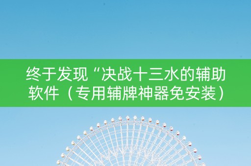 终于发现“决战十三水的辅助软件（专用辅牌神器免安装）