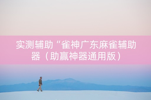 实测辅助“雀神广东麻雀辅助器（助赢神器通用版）