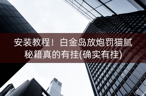 安装教程！白金岛放炮罚猫腻秘籍真的有挂(确实有挂)