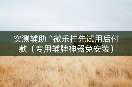 实测辅助“微乐挂先试用后付款（专用辅牌神器免安装）