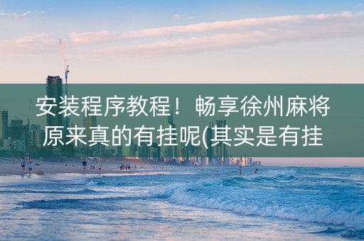 安装程序教程！畅享徐州麻将原来真的有挂呢(其实是有挂的)