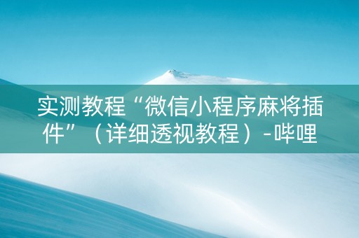 实测教程“微信小程序麻将插件”（详细透视教程）-哔哩哔哩