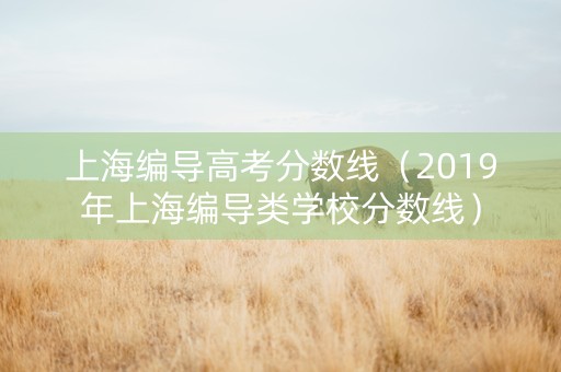 上海编导高考分数线（2019年上海编导类学校分数线）