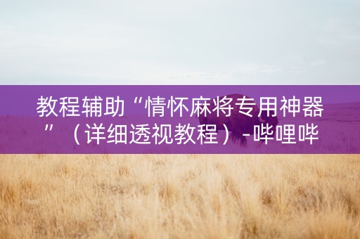 教程辅助“情怀麻将专用神器”（详细透视教程）-哔哩哔哩