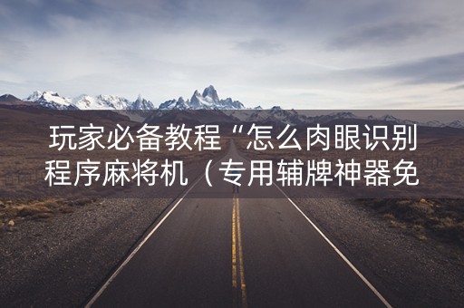 玩家必备教程“怎么肉眼识别程序麻将机（专用辅牌神器免安装）
