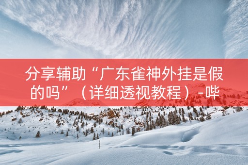 分享辅助“广东雀神外挂是假的吗”（详细透视教程）-哔哩哔哩