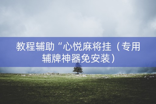 教程辅助“心悦麻将挂（专用辅牌神器免安装）