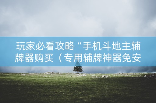 玩家必看攻略“手机斗地主辅牌器购买（专用辅牌神器免安装）