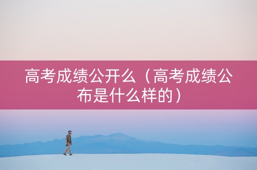 高考成绩公开么（高考成绩公布是什么样的）