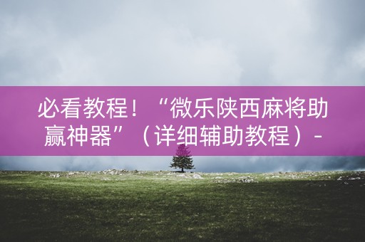 必看教程！“微乐陕西麻将助赢神器”（详细辅助教程）-哔哩哔哩
