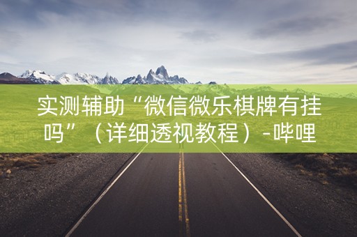 实测辅助“微信微乐棋牌有挂吗”（详细透视教程）-哔哩哔哩