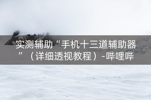 实测辅助“手机十三道辅助器”（详细透视教程）-哔哩哔哩
