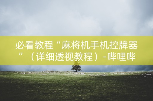 必看教程“麻将机手机控牌器”（详细透视教程）-哔哩哔哩