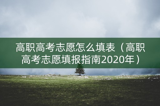 高职高考志愿怎么填表（高职高考志愿填报指南2020年）