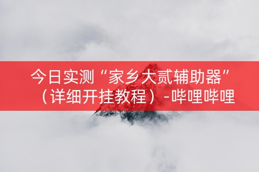 今日实测“家乡大贰辅助器”（详细开挂教程）-哔哩哔哩