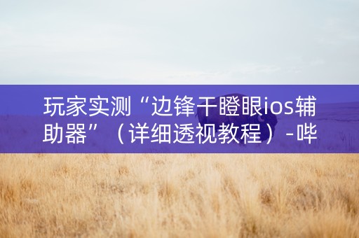 玩家实测“边锋干瞪眼ios辅助器”（详细透视教程）-哔哩哔哩