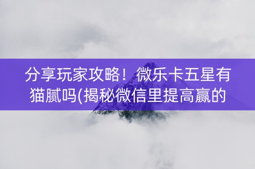 分享玩家攻略！微乐卡五星有猫腻吗(揭秘微信里提高赢的概率)