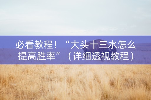 必看教程！“大头十三水怎么提高胜率”（详细透视教程）-哔哩哔哩