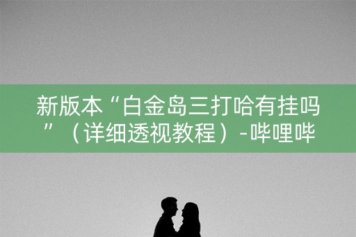 新版本“白金岛三打哈有挂吗”（详细透视教程）-哔哩哔哩