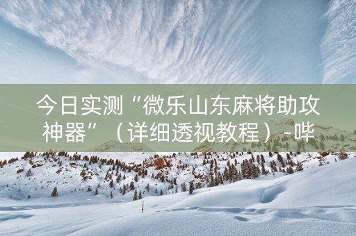 今日实测“微乐山东麻将助攻神器”（详细透视教程）-哔哩哔哩