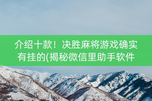 介绍十款！决胜麻将游戏确实有挂的(揭秘微信里助手软件)