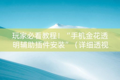 玩家必看教程！“手机金花透明辅助插件安装”（详细透视教程）-哔哩哔哩